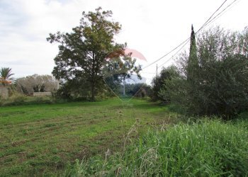 Giardino - Terreno agricolo Strada Provinciale 71i (SP71i)
 
44, Fiumefreddo di Sicilia - foto 12