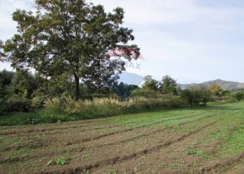 Giardino - Terreno agricolo Strada Provinciale 71i (SP71i)
 
44, Fiumefreddo di Sicilia - foto 14