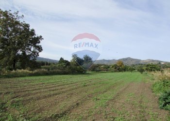 Giardino - Terreno agricolo Strada Provinciale 71i (SP71i)
 
44, Fiumefreddo di Sicilia - foto 15