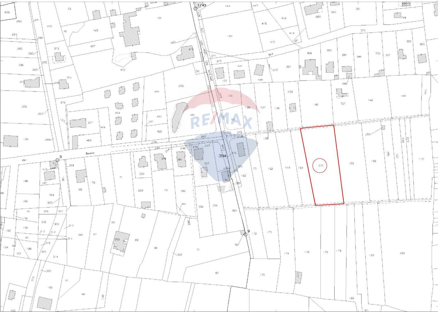 Pianta 2D - Terreno agricolo Via Bosco
 
snc, Zafferana Etnea - planimetria 1