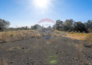 Non correlato - Terreno agricolo Via Bosco
 
snc, Zafferana Etnea - foto 6