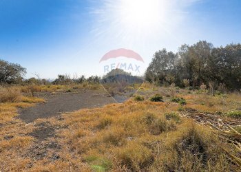 Vista delle montagne - Terreno agricolo Via Bosco
 
snc, Zafferana Etnea - foto 7