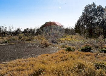 Vista delle montagne - Terreno agricolo Via Bosco
 
snc, Zafferana Etnea - foto 8