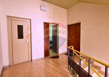 Hall / corridoio - Bilocale Signa - foto 16