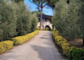 viale accesso - Independent house Via Senese Romana
 
369, Empoli - photo 5