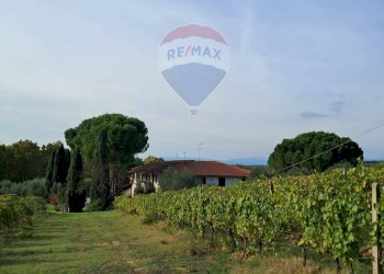 vigneto - Independent house Via Senese Romana
 
369, Empoli - photo 8