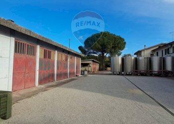 piazzale - Independent house Via Senese Romana
 
369, Empoli - photo 16