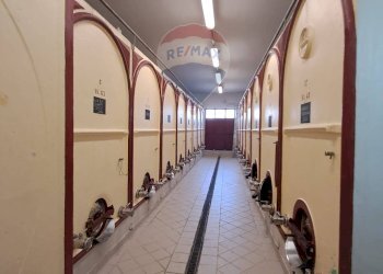 cantina - Independent house Via Senese Romana
 
369, Empoli - photo 22