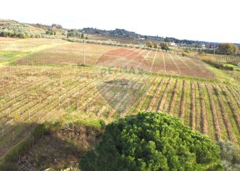 vigneto dall\'alto - Independent house Via Senese Romana
 
369, Empoli - photo 30