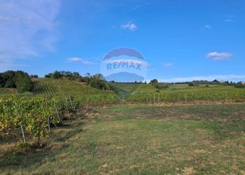 vigneto - Independent house Via Senese Romana
 
369, Empoli - photo 31