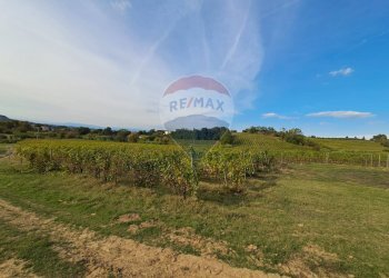 vigneto - Independent house Via Senese Romana
 
369, Empoli - photo 33