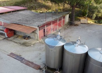 esterno - Independent house Via Senese Romana
 
369, Empoli - photo 41