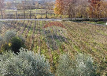 vigneto - Independent house Via Senese Romana
 
369, Empoli - photo 42