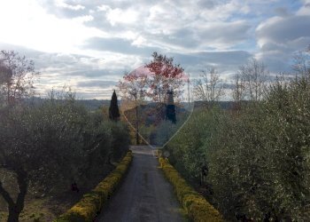 viale accesso - Independent house Via Senese Romana
 
369, Empoli - photo 43