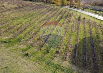 Giardino - Independent house Via Senese Romana
 
369, Empoli - photo 45