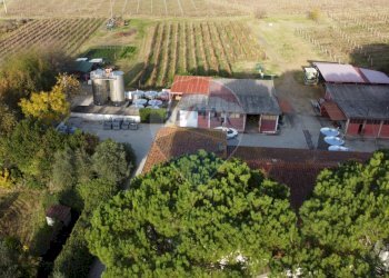 esterno - Independent house Via Senese Romana
 
369, Empoli - photo 46