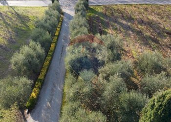 viale accesso - Independent house Via Senese Romana
 
369, Empoli - photo 49