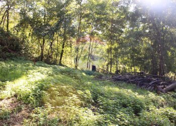 Giardino - Baita via per Traona, Cercino - foto 8