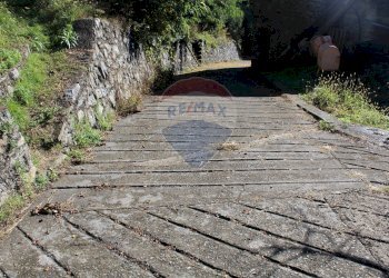 Giardino - Baita via per Traona, Cercino - foto 21