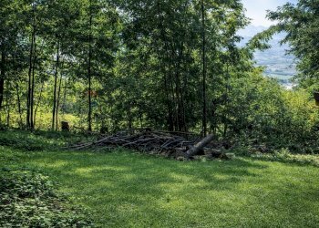 Giardino - Baita via per Traona, Cercino - foto 24