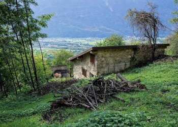 Giardino - Baita via per Traona, Cercino - photo 6