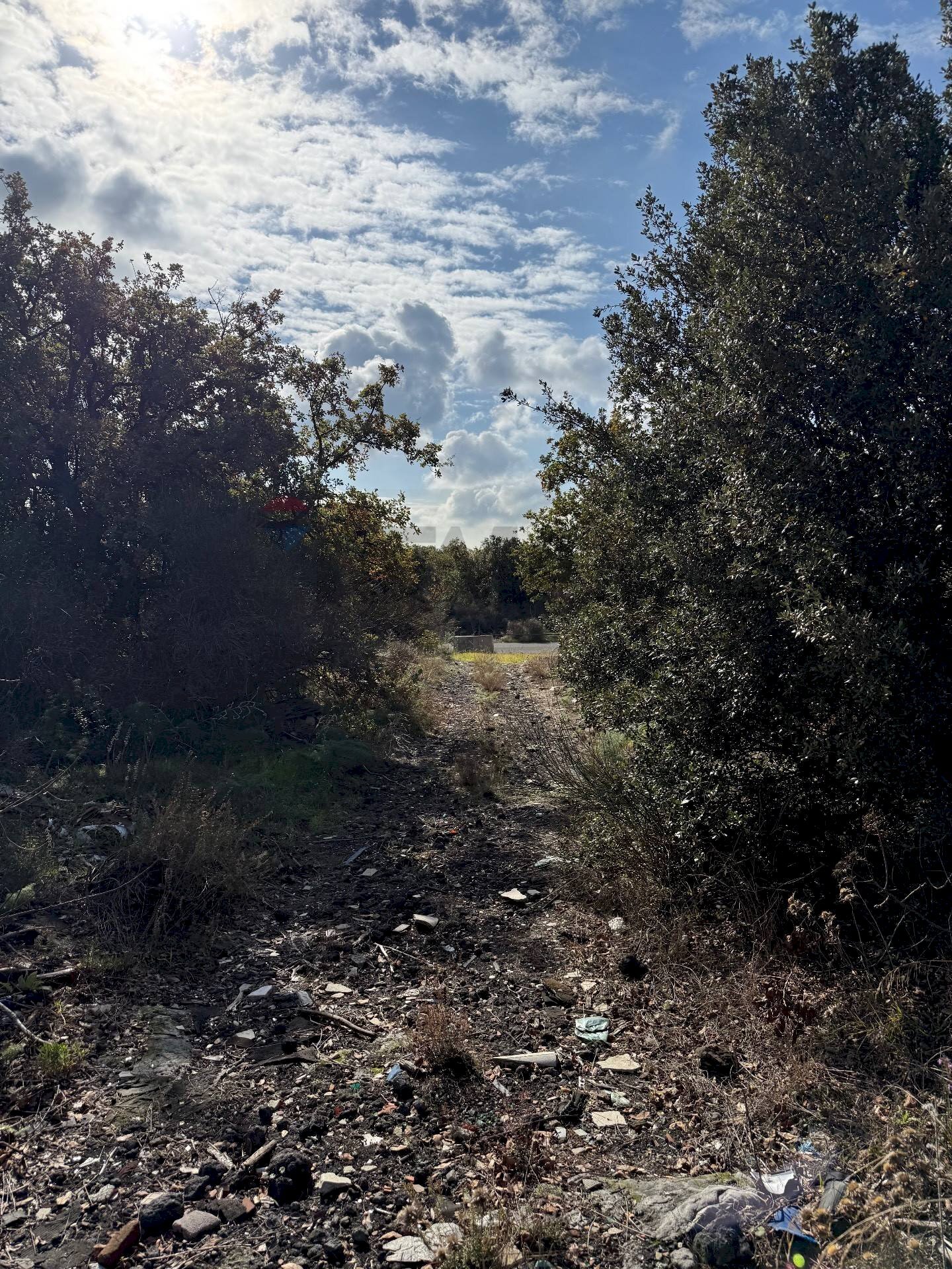Vista delle montagne - Terreno agricolo Contrada Difesa, Belpasso - foto 1