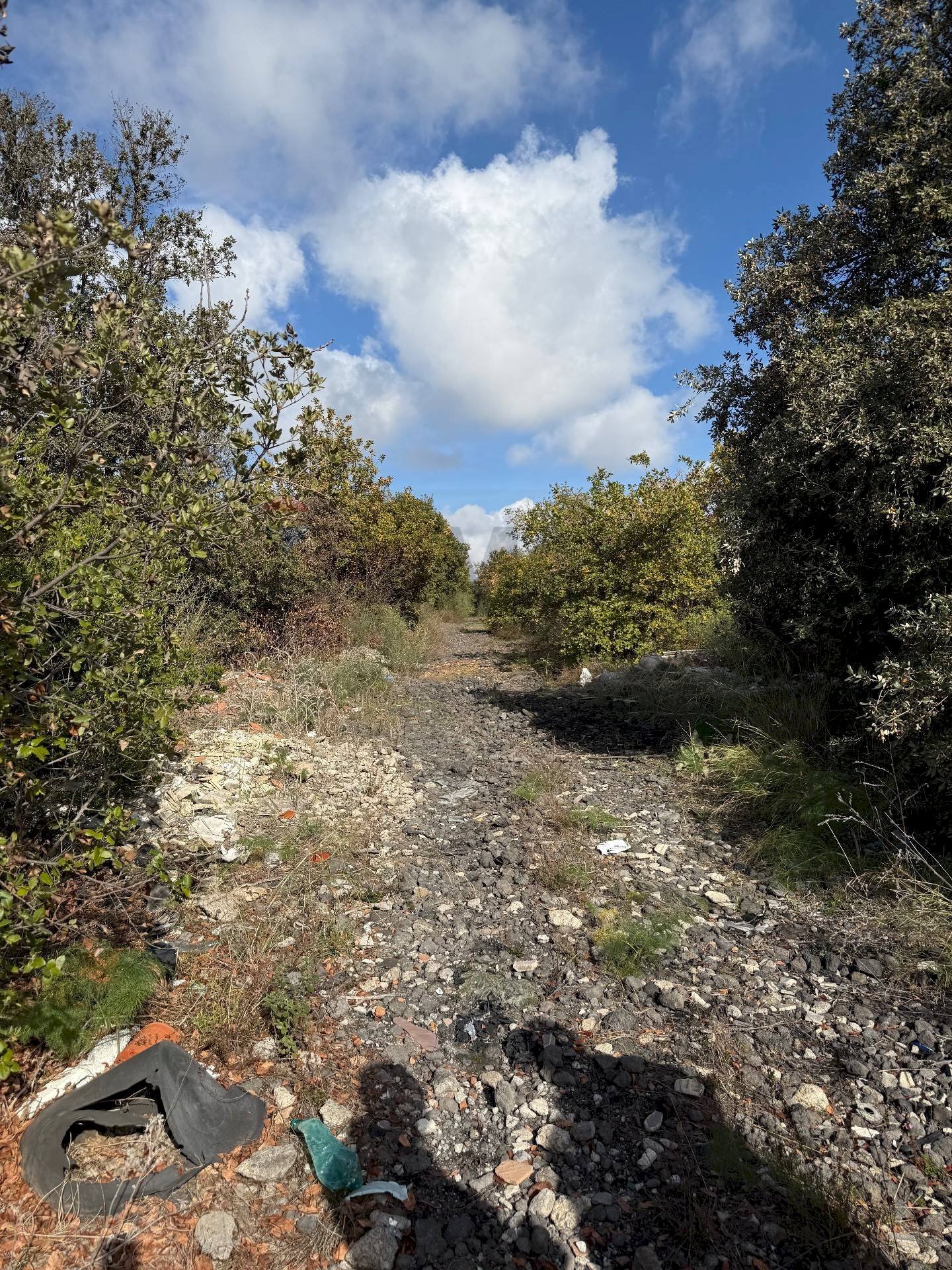 Giardino - Terreno agricolo Contrada Difesa, Belpasso - foto 3