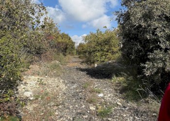 Giardino - Terreno agricolo Contrada Difesa, Belpasso - foto 2