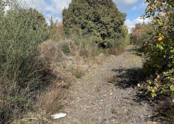 Non correlato - Terreno agricolo Contrada Difesa, Belpasso - foto 4