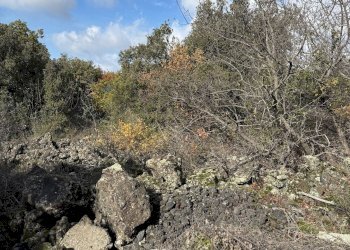 Non correlato - Terreno agricolo Contrada Difesa, Belpasso - foto 5