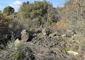 Non correlato - Terreno agricolo Contrada Difesa, Belpasso - foto 11