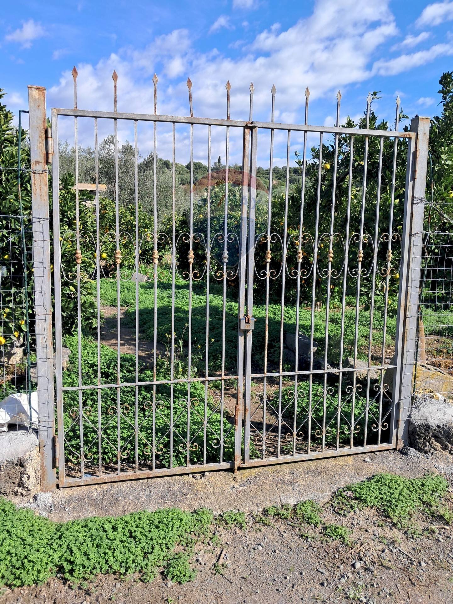 Edificio all\'aperto - Terreno agricolo Pietralunga, Paterno - foto 1