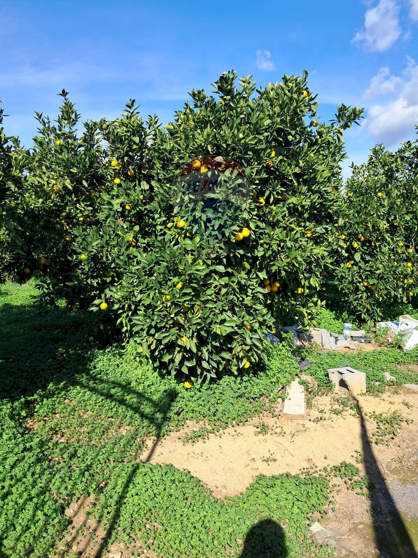 Giardino - Terreno agricolo Pietralunga, Paterno - foto 2