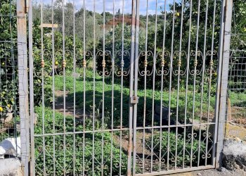 Edificio all\'aperto - Terreno agricolo Pietralunga, Paterno - foto 1