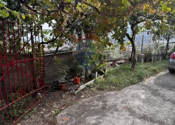 Giardino - Independent house Scorsonello
 
snc, Savoca - photo 15