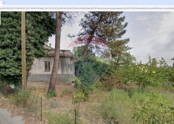 Giardino - Rustico San Leucio del Sannio - foto 3