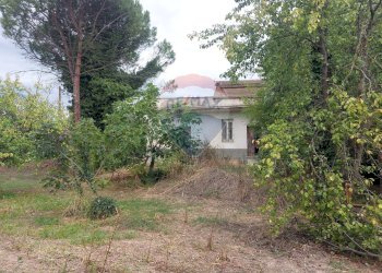 Giardino - Rustico San Leucio del Sannio - foto 4