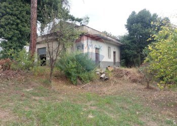 Giardino - Rustico San Leucio del Sannio - foto 6