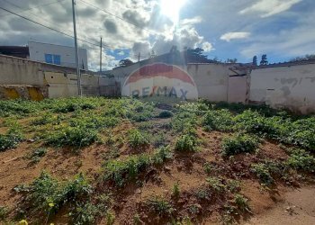 Giardino - Villa via Renato Guttuso
 
snc, Cinisi - photo 10