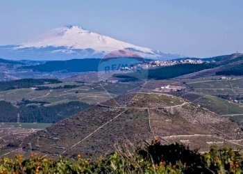Vista delle montagne - Villa piano dell'acqua, Chiaramonte Gulfi - foto 36