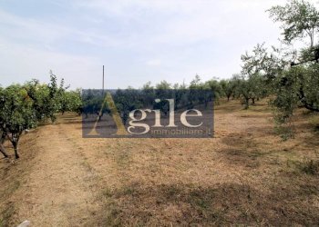 Foto 21 - Independent house CONTRADA GRAZIE, Cossignano - photo 21