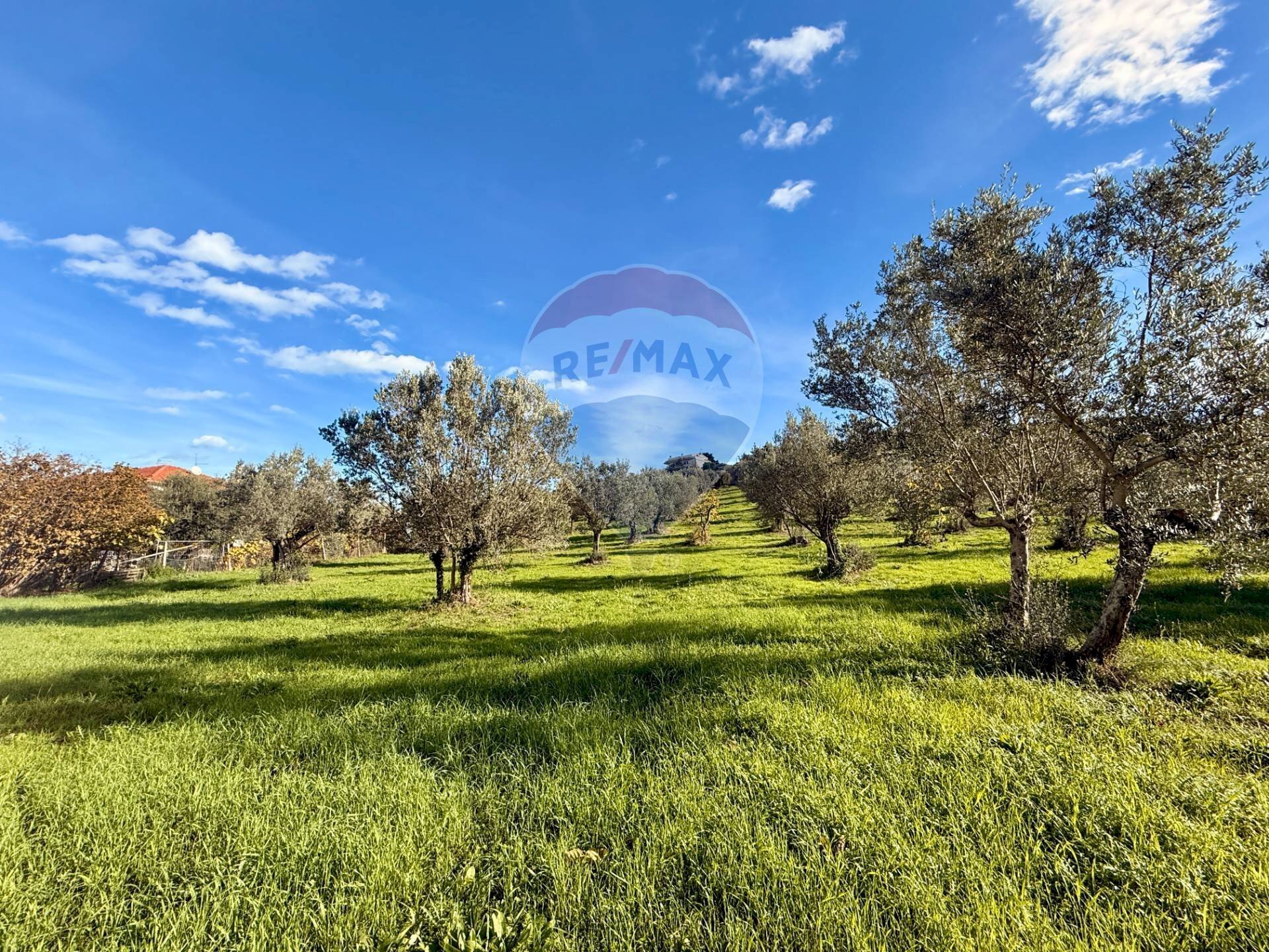 Giardino - Terreno edificabile Via Fonte dell'Abbazia, Montesilvano - foto 1