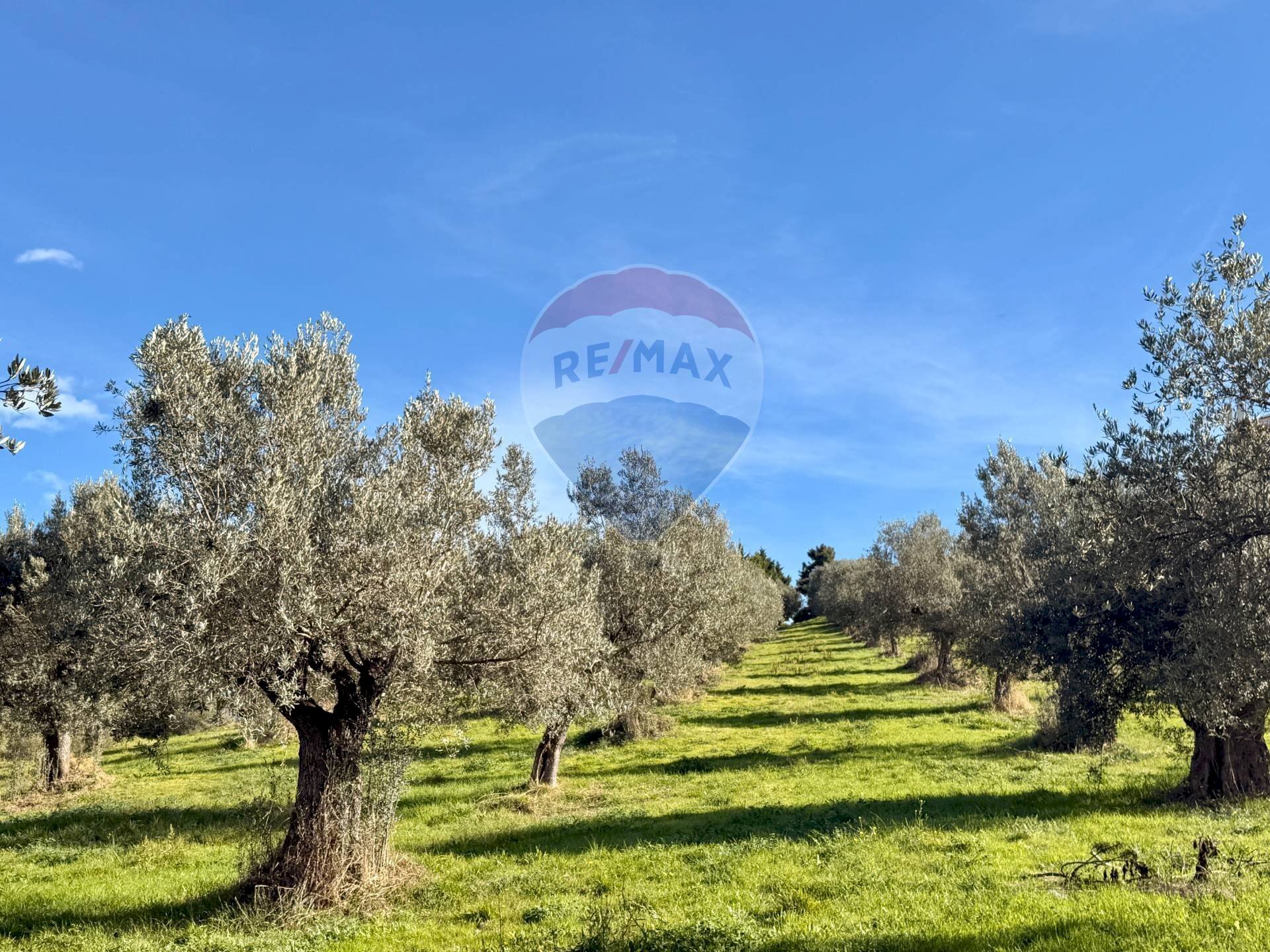 Giardino - Terreno edificabile Via Fonte dell'Abbazia, Montesilvano - foto 3