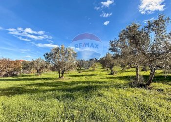 Giardino - Terreno edificabile Via Fonte dell'Abbazia, Montesilvano - foto 1