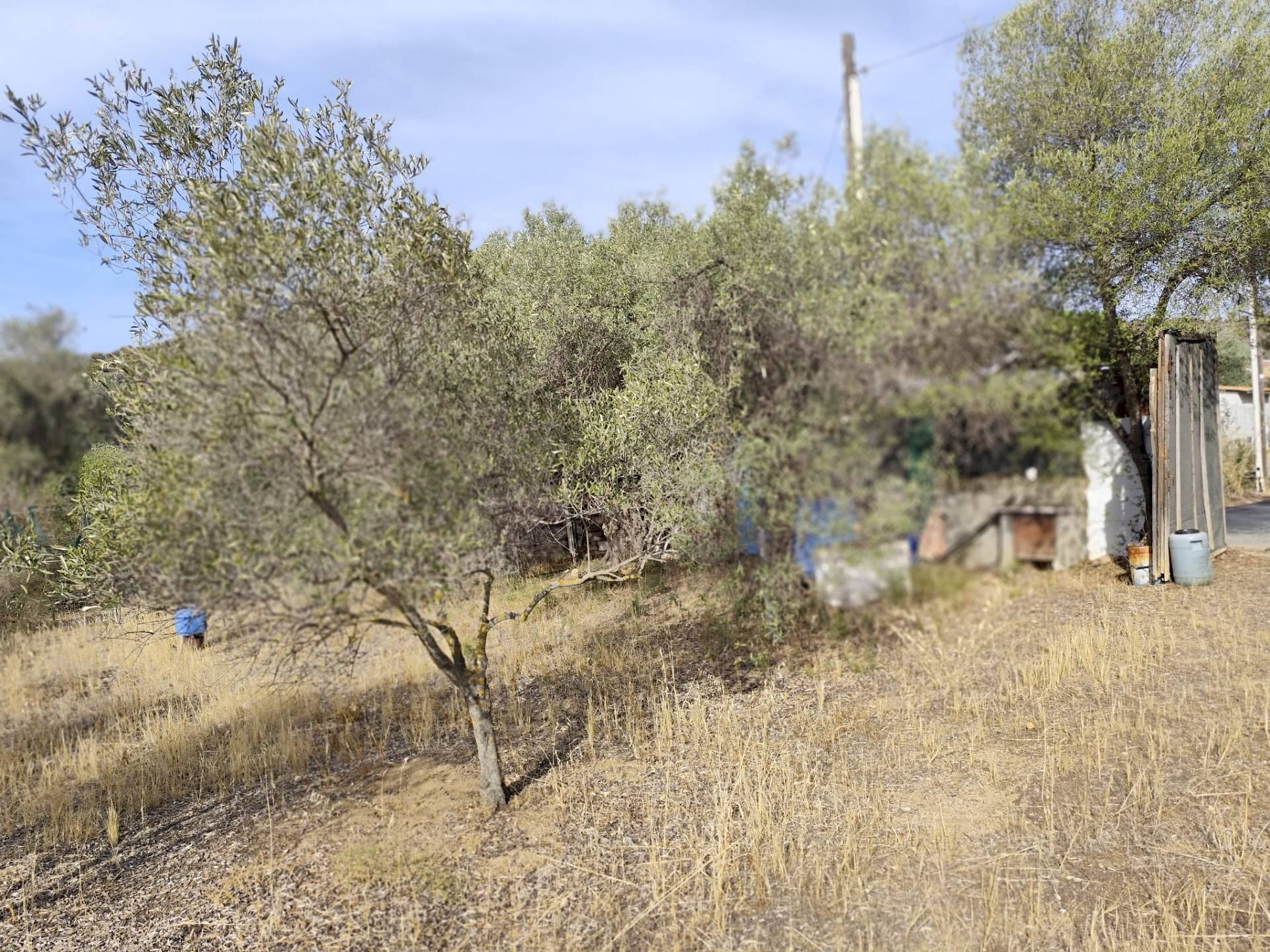 Foto 1 - Terreno edificabile Località Su Tremini, Monserrato - foto 1