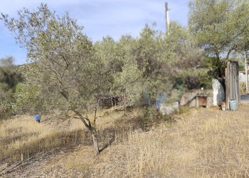 Foto 1 - Terreno edificabile Località Su Tremini, Monserrato - foto 1