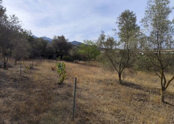 Foto 4 - Terreno edificabile Località Su Tremini, Monserrato - foto 4