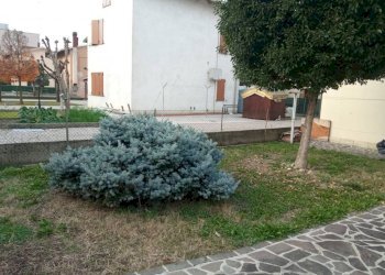 Giardino - Villa via Canzio Zoldi, Novi di Modena - foto 13