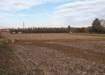 Foto 21 - Rustico Strada per Tronzano
 
20, Santhià - foto 21