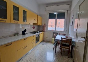 Cucina - Apartment via Aurelio Saffi, 63, Bologna (neighborhood Saffi) - photo 14